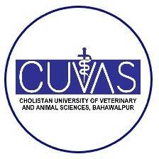 CUVAS Logo